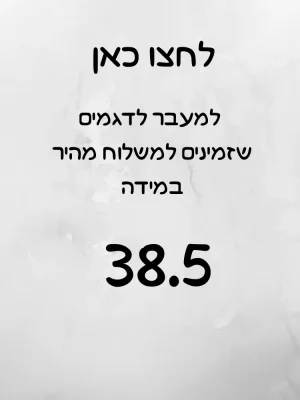 מידה 38.5